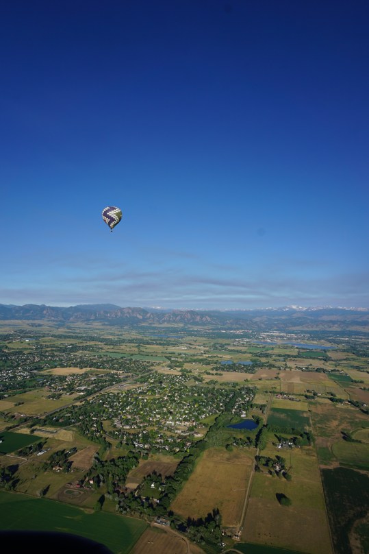 Favorites - 9 of 21.jpg